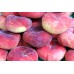 Инжирный персик Пинк Ринг: фото и описание сорта